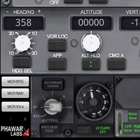 PWB737 MCP EFIS RADIO FSX P3D 
