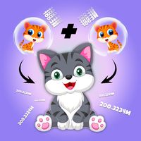 Cat Games - Kitty Kingdom