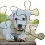Dogs Puzzle