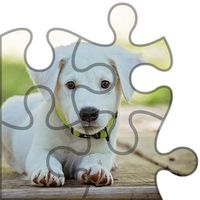 Dogs Puzzle