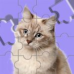 Jigsaw Puzzle - Brain Puzzles