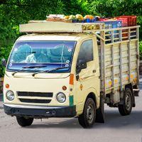 Transport Pickup Truck Sim 3D