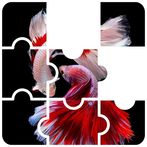 Betta Fish Game Puzzle Jigsaw