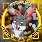 Successful Rabbit Escape