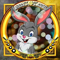 Successful Rabbit Escape