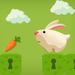 Feed vegetables - Rabbit