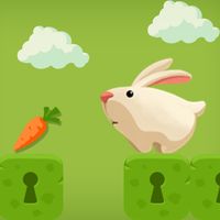 Feed vegetables - Rabbit