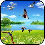 Birds shooter Angry Hunting