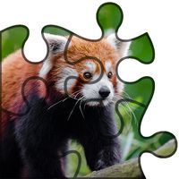 Animals Puzzle Game-IQ