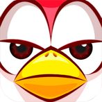 Angry Chicken: Birds Eggs