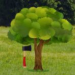Felling Trees