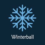 Winter ball deluxe shoot game