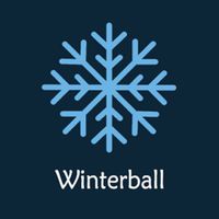 Winter ball deluxe shoot game