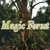 Magic Forest