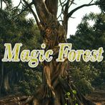 Magic Forest