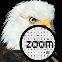 Birds Color By Number