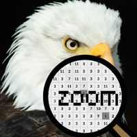 Birds Color By Number