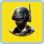 PUB's Military Game - Quiz