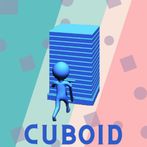 Cuboid : Run 2d Platformer
