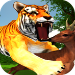 Hungry Tiger Jungle Wild Hunt