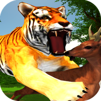 Hungry Tiger Jungle Wild Hunt
