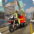 Tuk Tuk Auto Rickshaw Driver