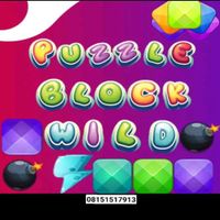 Wild block puzzle