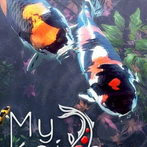 My Koi