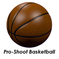 Pro-Shoot Basketball