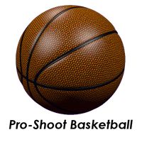 Pro-Shoot Basketball