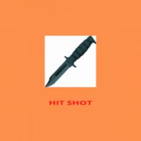 HIT SHOT