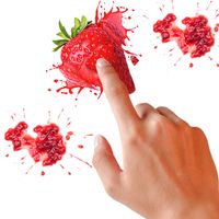 Antistress - relaxation fruit