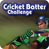 Cricket Batter Challenge