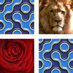 DIY Memory Card Game