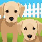 Puppy Playmate Picture Match