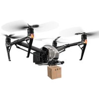 Drone Shooting Flying Bird