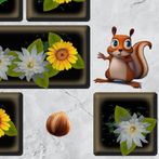 Squirrel Winter Stock