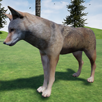 Happy Coyote Simulator