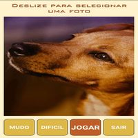 Quebra-Cabeça de Cães