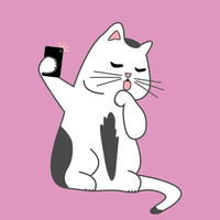 Cat Snaps - Photo Selfies for