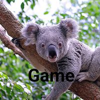 Koala Game-Adventure game