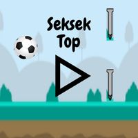 Seksek Top