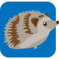 Investigar as pegadas dos anim