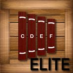 Toddlers Marimba Elite