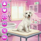 Labrador Puppy Day Care