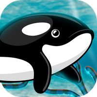 Orca Fish Home Adventure
