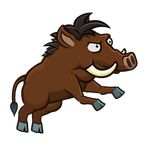 Run, boar, run!