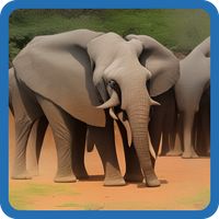 KENYA BRAIN IQ
