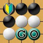Go (Recommended for beginners)