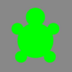 Spicy Turtle